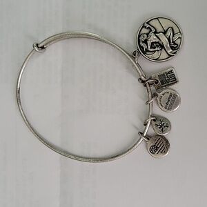 Alex and Ani Team USA bracelet
